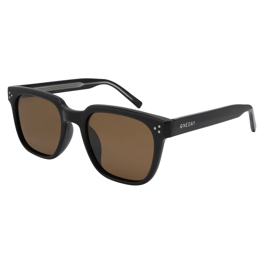 Parker - Black/Brown - Polarised