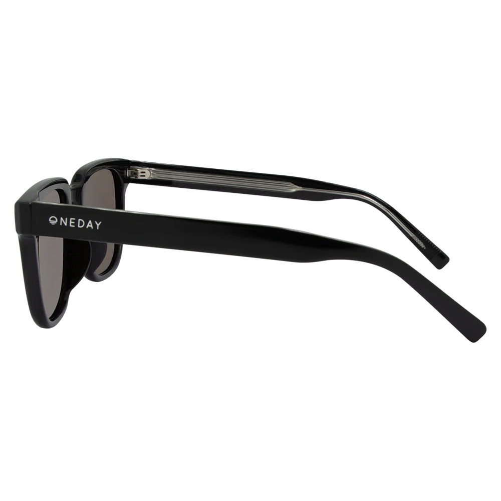 Parker - Black/Brown - Polarised