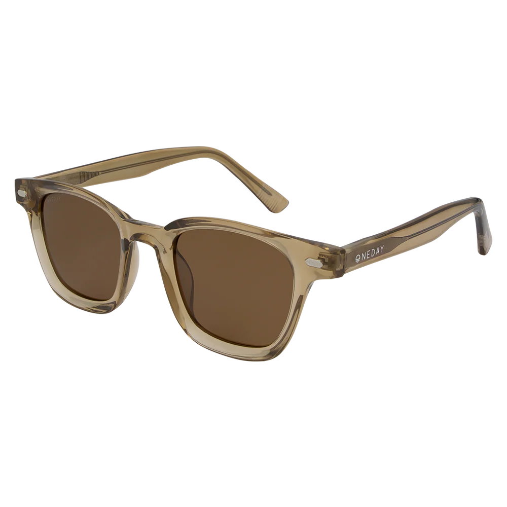Aspen - Brown/Brown - Polarised