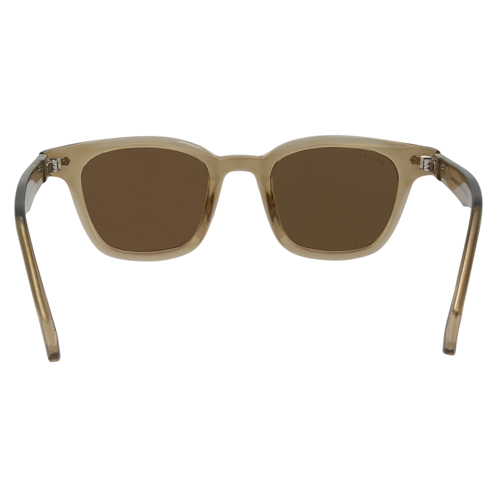 Aspen - Brown/Brown - Polarised