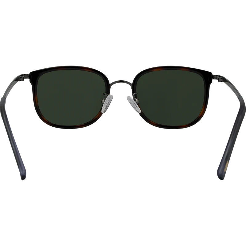 Tommy - Dark Tort/G15