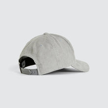 Load image into Gallery viewer, Stunned Golfer Cap - Grey
