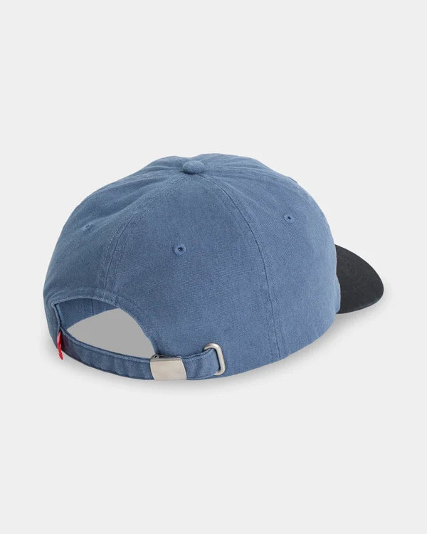 IMPAIRED 6 PANEL CAP